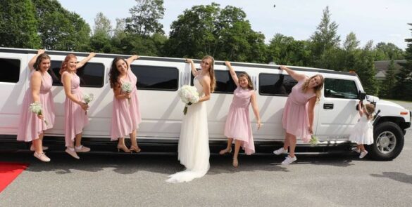 Six limo wedding party