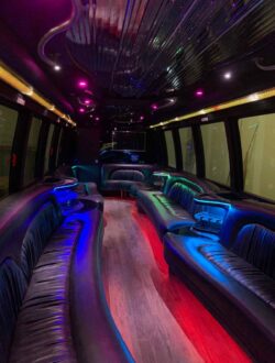 30 passenger party bus - Toronto limousine rentals